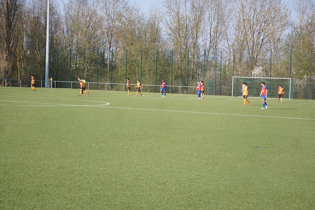 Tricolore - Lasauvage 6-0 Championnatsmätch Senior 1 22.03.2026 21.JPG